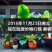 2016年11月23日南瓜现在批发价格行情 新疆克...(图4) 2016年11月23日南瓜现在批发价格行情 新疆克...(图4)