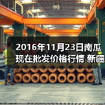 2016年南瓜价格波动及各地市场行情分析-松松肥园艺土