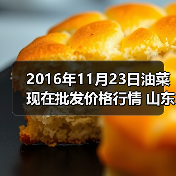 2016年11月23日油菜现在批发价格行情 山东滕...（图2）