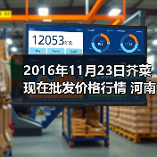 2016年11月23日芥菜现在批发价格行情 河南万...(图2) 2016年11月23日芥菜现在批发价格行情 河南万...(图2)