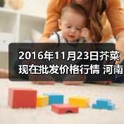 2016年11月23日芥菜现在批发价格行情 河南万...(图3) 2016年11月23日芥菜现在批发价格行情 河南万...(图3)