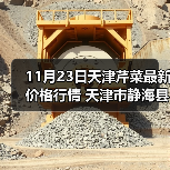 11月23日天津芹菜最新价格行情 天津市静海县...(图2) 11月23日天津芹菜最新价格行情 天津市静海县...(图2)