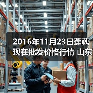 2016年11月23日莲藕现在批发价格行情 山东滕...（图4）