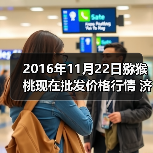 猕猴桃市场报价：多地产地价格对比分析-松松肥园艺土