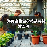 海南省生猪价格或将持续回落（图3）