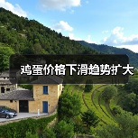 鸡蛋价格下滑趋势扩大(图3) 鸡蛋价格下滑趋势扩大(图3)