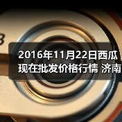 2016年11月22日西瓜现在批发价格行情 济南堤...(图3) 2016年11月22日西瓜现在批发价格行情 济南堤...(图3)