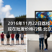 2016年11月22日荔枝现在批发价格行情 北京大...(图3) 2016年11月22日荔枝现在批发价格行情 北京大...(图3)