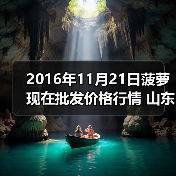 2016年11月21日菠萝现在批发价格行情 山东滕...(图3) 2016年11月21日菠萝现在批发价格行情 山东滕...(图3)