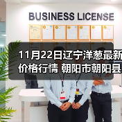 11月22日辽宁洋葱最新价格行情 朝阳市朝阳县...（图4）