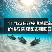 11月22日辽宁洋葱最新价格行情 朝阳市朝阳县...（图2）