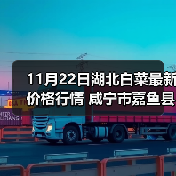 11月22日湖北白菜最新价格行情 咸宁市嘉鱼县...（图2）