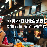 11月22日湖北白菜最新价格行情 咸宁市嘉鱼县...（图1）