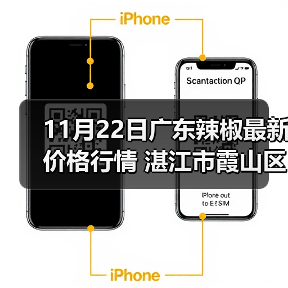 11月22日广东辣椒最新价格行情 湛江市霞山区3...(图4) 11月22日广东辣椒最新价格行情 湛江市霞山区3...(图4)