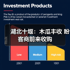 湖北十堰:木瓜丰收 盼客商前来收购(图1) 湖北十堰:木瓜丰收 盼客商前来收购(图1)