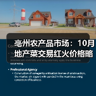 亳州农产品市场:10月地产菜交易红火价格略有...(图4) 亳州农产品市场:10月地产菜交易红火价格略有...(图4)