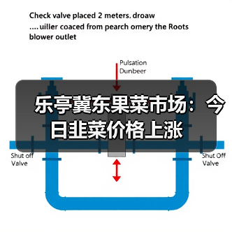 乐亭冀东果菜市场:今日韭菜价格上涨(图3) 乐亭冀东果菜市场:今日韭菜价格上涨(图3)