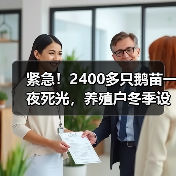 紧急!2400多只鹅苗一夜死光,养殖户冬季设备...(图2) 紧急!2400多只鹅苗一夜死光,养殖户冬季设备...(图2)