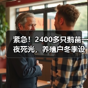 紧急!2400多只鹅苗一夜死光,养殖户冬季设备...(图3) 紧急!2400多只鹅苗一夜死光,养殖户冬季设备...(图3)