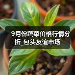 9月份蔬菜价格行情分析_包头友谊市场(图4) 9月份蔬菜价格行情分析_包头友谊市场(图4)