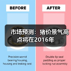 市场预测:猪价景气高点将在2016年(图3) 市场预测:猪价景气高点将在2016年(图3)