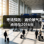 市场预测:猪价景气高点将在2016年(图4) 市场预测:猪价景气高点将在2016年(图4)
