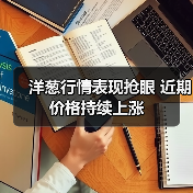 洋葱行情表现抢眼 近期价格持续上涨(图2) 洋葱行情表现抢眼 近期价格持续上涨(图2)