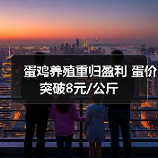 蛋鸡养殖重归盈利 蛋价突破8元/公斤（图1）
