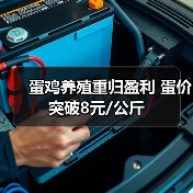 蛋鸡养殖重归盈利 蛋价突破8元/公斤（图4）