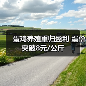 蛋鸡养殖重归盈利 蛋价突破8元/公斤（图2）