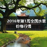 2016年第1周全国水果价格行情(图2) 2016年第1周全国水果价格行情(图2)