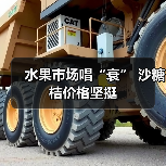 水果市场唱“衰” 沙糖桔价格坚挺(图3) 水果市场唱“衰” 沙糖桔价格坚挺(图3)