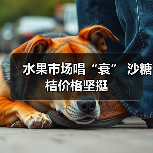 水果市场唱“衰” 沙糖桔价格坚挺(图1) 水果市场唱“衰” 沙糖桔价格坚挺(图1)
