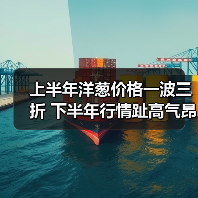 上半年洋葱价格一波三折 下半年行情趾高气昂(图3) 上半年洋葱价格一波三折 下半年行情趾高气昂(图3)
