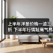 上半年洋葱价格一波三折 下半年行情趾高气昂(图4) 上半年洋葱价格一波三折 下半年行情趾高气昂(图4)