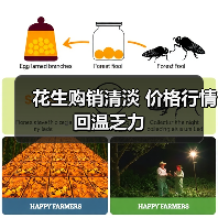 花生购销清淡 价格行情回温乏力(图4) 花生购销清淡 价格行情回温乏力(图4)