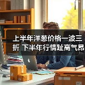 上半年洋葱价格一波三折 下半年行情趾高气昂(图2) 上半年洋葱价格一波三折 下半年行情趾高气昂(图2)