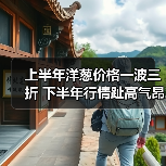 上半年洋葱价格一波三折 下半年行情趾高气昂(图1) 上半年洋葱价格一波三折 下半年行情趾高气昂(图1)