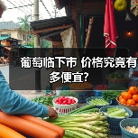 葡萄临下市 价格究竟有多便宜?(图2) 葡萄临下市 价格究竟有多便宜?(图2)