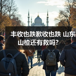 丰收也跌歉收也跌 山东山楂还有救吗?(图1) 丰收也跌歉收也跌 山东山楂还有救吗?(图1)