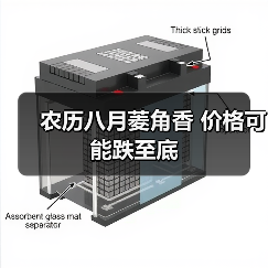 农历八月菱角香 价格可能跌至底(图4) 农历八月菱角香 价格可能跌至底(图4)