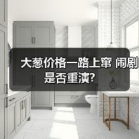 大葱价格一路上窜 闹剧是否重演?(图1) 大葱价格一路上窜 闹剧是否重演?(图1)