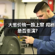 大葱价格一路上窜 闹剧是否重演?(图3) 大葱价格一路上窜 闹剧是否重演?(图3)