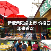 新板栗陆续上市 价格四年来首降(图3) 新板栗陆续上市 价格四年来首降(图3)