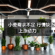 小麦需求不足 行情缺乏上涨动力(图4) 小麦需求不足 行情缺乏上涨动力(图4)