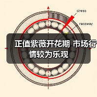 正值紫薇开花期 市场行情较为乐观(图1) 正值紫薇开花期 市场行情较为乐观(图1)