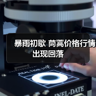 暴雨初歇 茼蒿价格行情出现回落(图3) 暴雨初歇 茼蒿价格行情出现回落(图3)