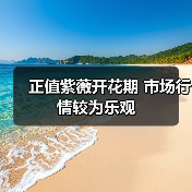 正值紫薇开花期 市场行情较为乐观(图3) 正值紫薇开花期 市场行情较为乐观(图3)