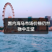 国内海马市场价格仍然稳中走坚(图1) 国内海马市场价格仍然稳中走坚(图1)