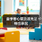 夏季卷心菜货源充足 价格也亲民(图4) 夏季卷心菜货源充足 价格也亲民(图4)